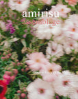 Amirisu Assemblage Volume 1 - Amirisu - The Little Yarn Store
