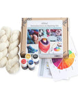 Ashford Introduction to Dyeing Starter Kit - Ashford - The Little Yarn Store