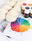Ashford Introduction to Dyeing Starter Kit - Ashford - The Little Yarn Store