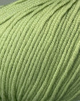 Bellissimo 8 - Bellissimo - 264 Leaf - The Little Yarn Store