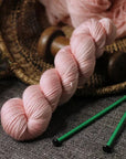 Chardyglen Designs Merino Silk Ballerina Chardyglen Designs | The Little Yarn Store
