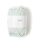 Rico Creative Ricorumi DK - Rico 037 Ice Green - The Little Yarn Store