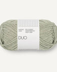 Sandnes Garn Duo - Sandnes Garn 9541 Green Tea - The Little Yarn Store