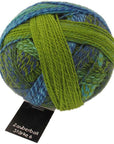 Schoppel - Wolle Starke 6 - Schoppel - Wolle - 2136 Spring Has Come! - The Little Yarn Store