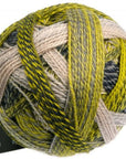 Schoppel - Wolle Starke 6 - Schoppel - Wolle - 2204 Green Week - The Little Yarn Store