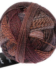 Schoppel - Wolle Zauberball Crazy - Schoppel - Wolle - 2544 Late Autumn - The Little Yarn Store