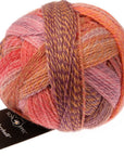 Schoppel - Wolle Zauberball Crazy - Schoppel - Wolle - 2546 Warm Botanical Garden - The Little Yarn Store