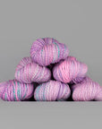 Spincycle Yarns Dyed in the Wool - Spincycle Yarns - Dear Diary - The Little Yarn Store