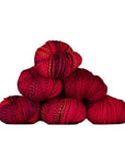 Spincycle Yarns Dyed in the Wool - Spincycle Yarns Devilish Grin - The Little Yarn Store
