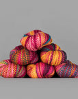 Spincycle Yarns Dyed in the Wool - Spincycle Yarns - Montana - The Little Yarn Store