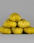 Spincycle Yarns Dyed in the Wool - Spincycle Yarns - Scranton - The Little Yarn Store