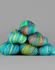 Spincycle Yarns Dyed in the Wool - Spincycle Yarns - Silver Lining - The Little Yarn Store