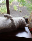 Victorian Housecats to Knit - Sara Elizabeth Kellner - The Little Yarn Store