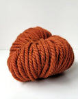 Woolly Yarn Co Super Woolly - Woolly Yarn Co - 14 Ginja Ninja - The Little Yarn Store