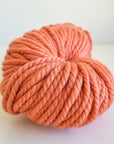 Woolly Yarn Co Super Woolly - Woolly Yarn Co - 5 Rust Bucket - The Little Yarn Store