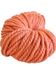 Woolly Yarn Co Super Woolly - Woolly Yarn Co 5 Rust Bucket - The Little Yarn Store