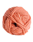 Woolly Yarn Co Woolly 8-Ply - Woolly Yarn Co - 16 Melon Dollar Baby - The Little Yarn Store