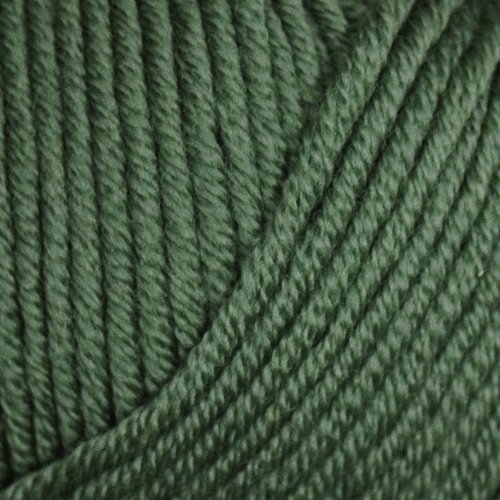 Bellissimo 8 - 258 Grass - 8 Ply - Bellissimo - The Little Yarn Store
