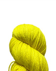 Koigu Jasmine - Koigu - J2100-0004 - The Little Yarn Store