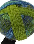Schoppel-Wolle Starke 6 - 2136 Spring Has Come! - 5 Ply - Nylon - The Little Yarn Store