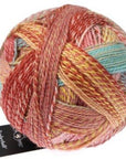 Schoppel-Wolle Starke 6 - 2545 Early Autumn - 5 Ply - Nylon - The Little Yarn Store