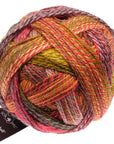 Schoppel-Wolle Starke 6 - 2516 Evening Hour - 5 Ply - Nylon - The Little Yarn Store