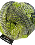 Schoppel-Wolle Zauberball Crazy - 2204 Green Week - 4 Ply - Nylon - The Little Yarn Store