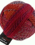 Schoppel-Wolle Zauberball Crazy - 2231 Nonferrous Metal - 4 Ply - Nylon - The Little Yarn Store