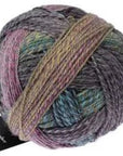Schoppel-Wolle Zauberball Crazy - 2533 Tracking - 4 Ply - Nylon - The Little Yarn Store