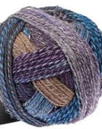 Schoppel-Wolle Zauberball Crazy - 2534 Parlous - 4 Ply - Nylon - The Little Yarn Store