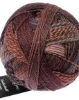 Schoppel-Wolle Zauberball Crazy - 2544 Late Autumn - 4 Ply - Nylon - The Little Yarn Store