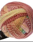 Schoppel-Wolle Zauberball Crazy - 2545 Early Autumn - 4 Ply - Nylon - The Little Yarn Store