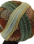 Schoppel-Wolle Zauberball Crazy - 1660 Riverbend - 4 Ply - Nylon - The Little Yarn Store
