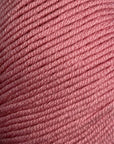 Bellissimo 8 - Bellissimo - 263 Daisy - The Little Yarn Store