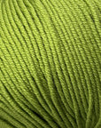 Bellissimo 8 - Bellissimo - 265 Basil - The Little Yarn Store