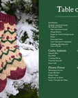 Charming Colorwork Socks: 25 Delightful Knitting Patterns for Colorful, Comfy Footwear - Charlotte Stone - The Little Yarn Store