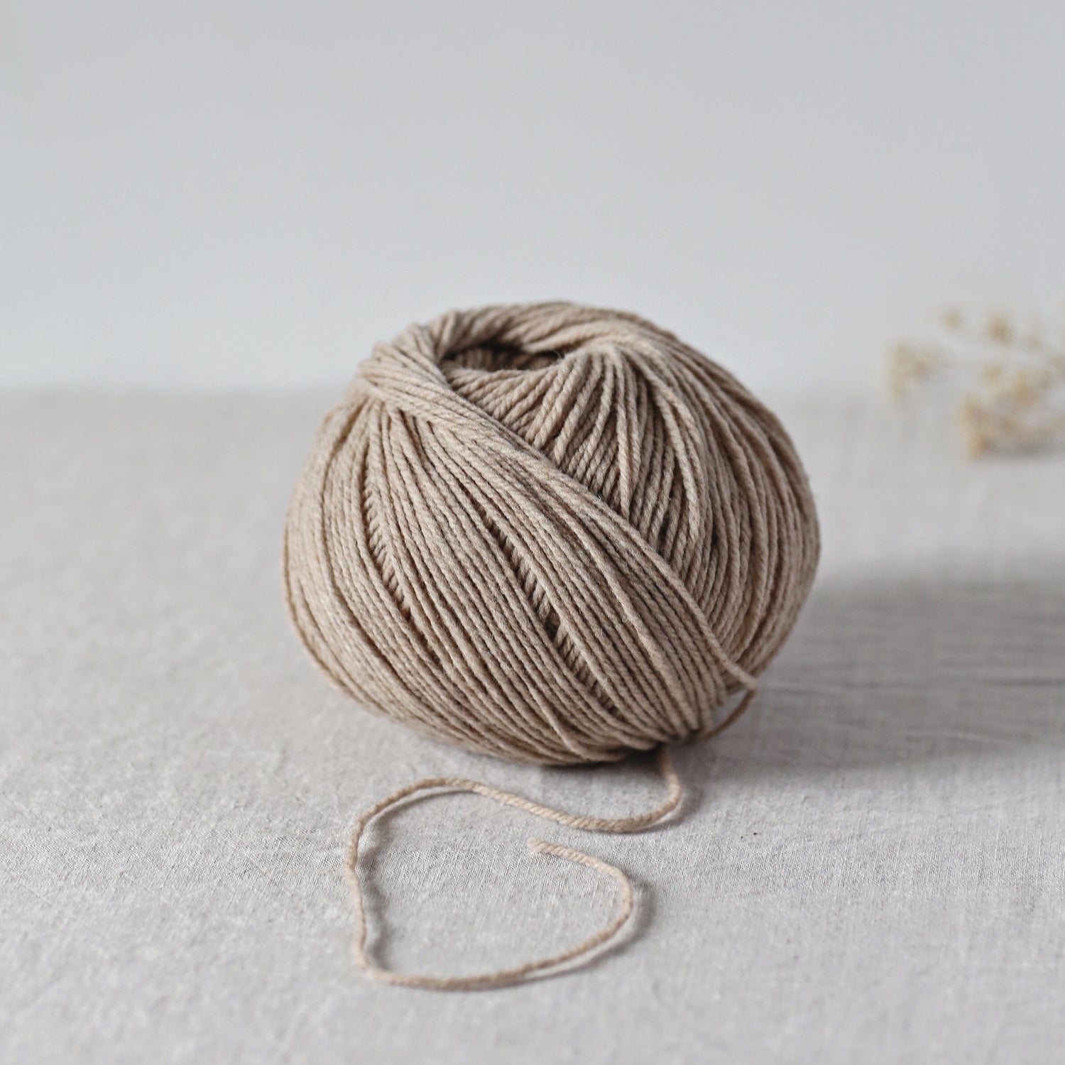 De Rerum Natura Gilliatt - De Rerum Natura - Biche - The Little Yarn Store