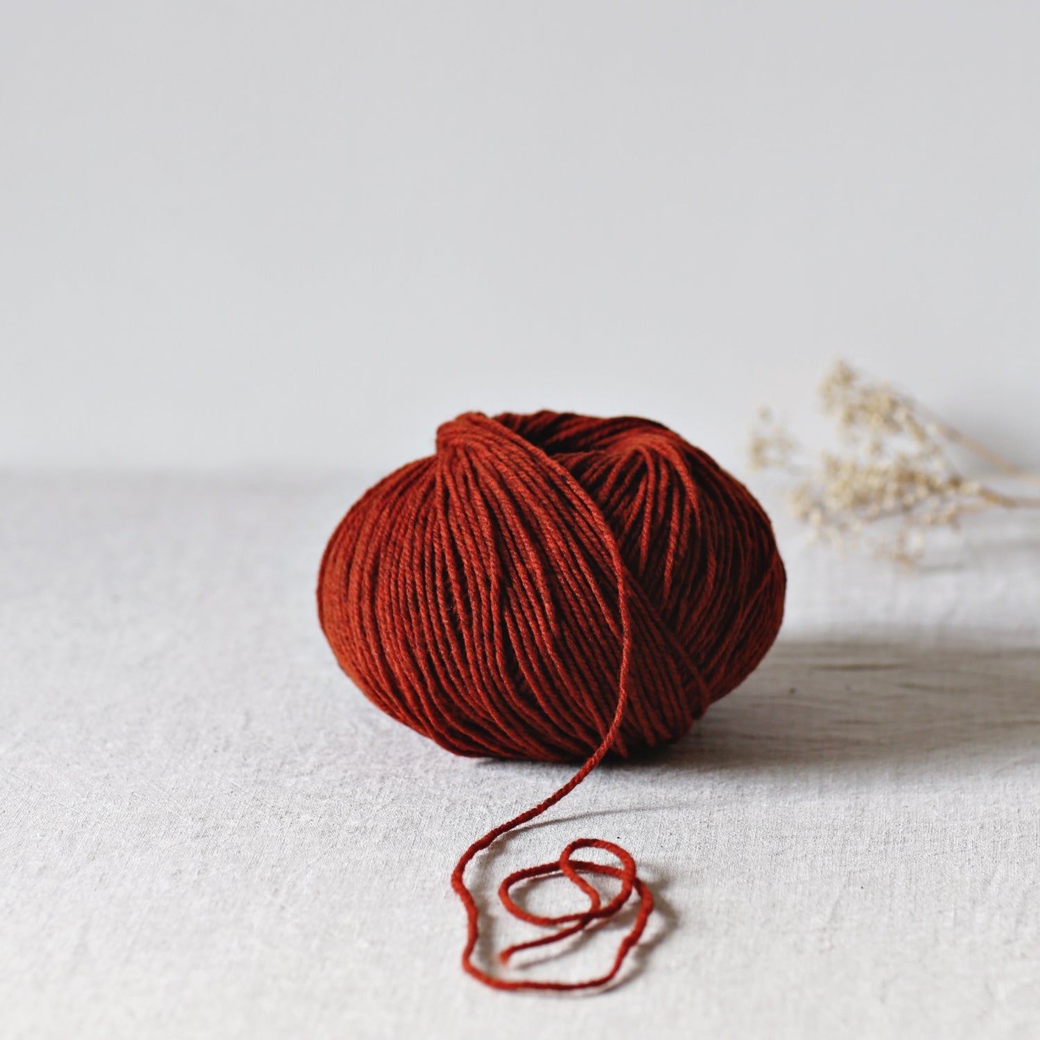 De Rerum Natura Gilliatt - De Rerum Natura - Erable - The Little Yarn Store