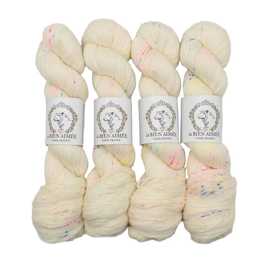La Bien Aimée Merino Singles - La Bien Aimée Confetti Cake - The Little Yarn Store