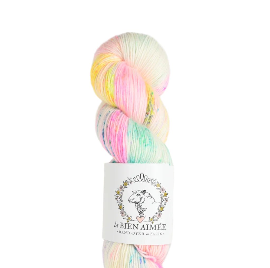 La Bien Aimée Merino Singles - La Bien Aimée - Confetti Cake - The Little Yarn Store