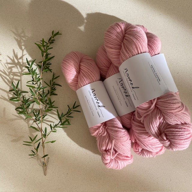 Nomad Farms Botanically Dyed DK Polworth - Nomad Farms - Cochineal No 1 - The Little Yarn Store
