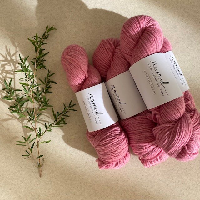 Nomad Farms Botanically Dyed DK Polworth - Nomad Farms - Cochineal No 6 - The Little Yarn Store