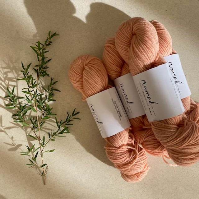 Nomad Farms Botanically Dyed DK Polworth - Nomad Farms - Madder No 2 - The Little Yarn Store