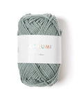 Rico Creative Ricorumi DK - Rico 038 Patina - The Little Yarn Store
