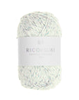 Rico Creative Ricorumi Twinkly Twinkly DK - Rico 002 Rainbow - The Little Yarn Store