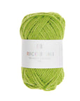 Rico Creative Ricorumi Twinkly Twinkly DK - Rico 014 Green - The Little Yarn Store