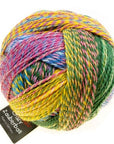 Schoppel - Wolle Zauberball Crazy - Schoppel - Wolle - 2334 Malerwinkel - The Little Yarn Store