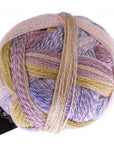 Schoppel - Wolle Zauberball Crazy - Schoppel - Wolle - 2473 Attractant - The Little Yarn Store