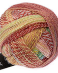 Schoppel - Wolle Zauberball Crazy - Schoppel - Wolle - 2545 Early Autumn - The Little Yarn Store