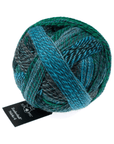Schoppel-Wolle Zauberball Starke 6 - Schoppel-Wolle 1505 Potpourie - The Little Yarn Store